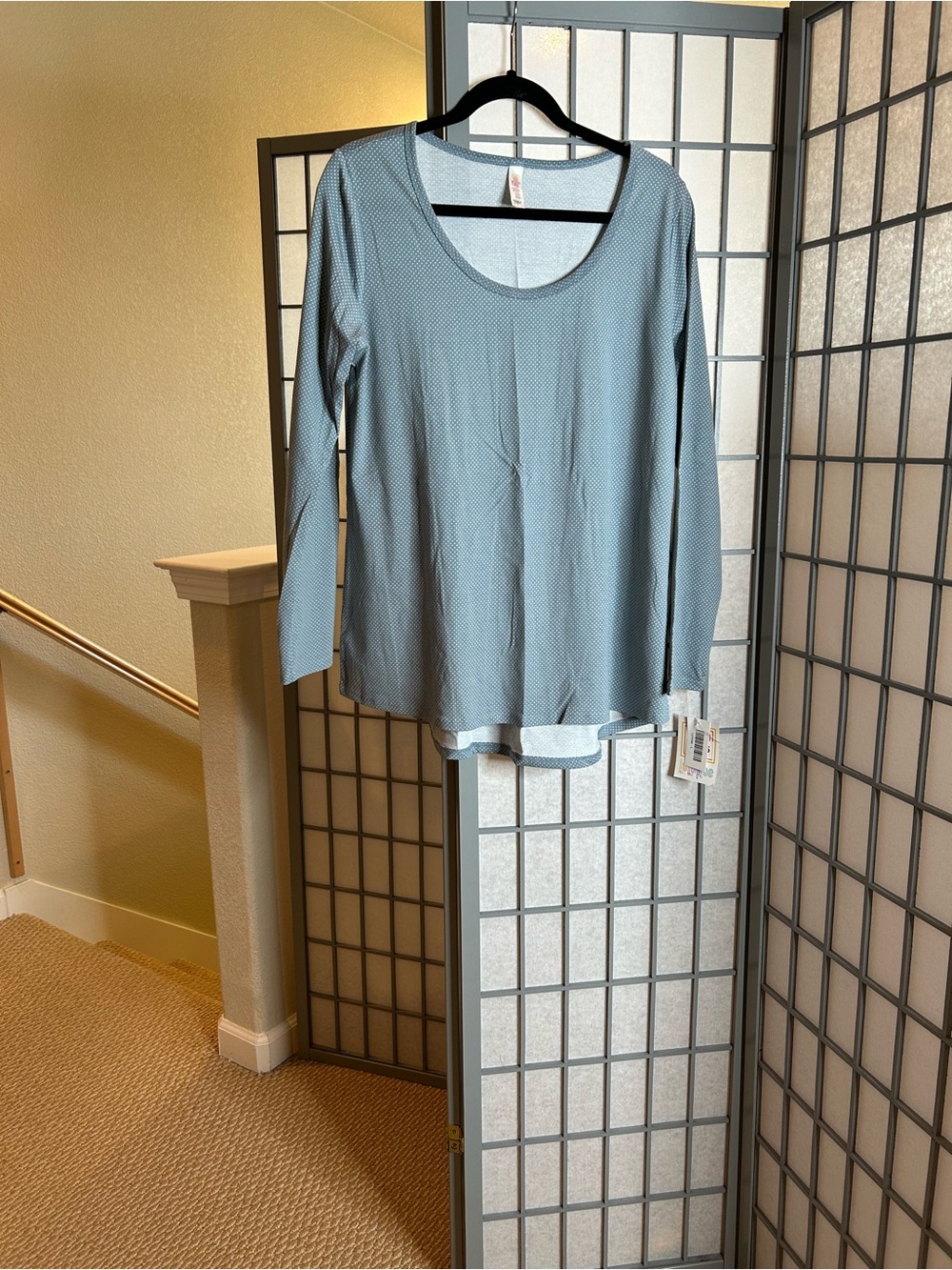 NWT LuLaRoe Lynnae Light Blue Long Sleeve Scoop Neck Top